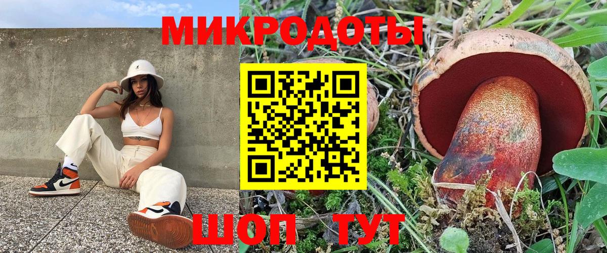 Семёнов  Галлюциногенные грибы Psilocybine cubensis  Вход с VPN 